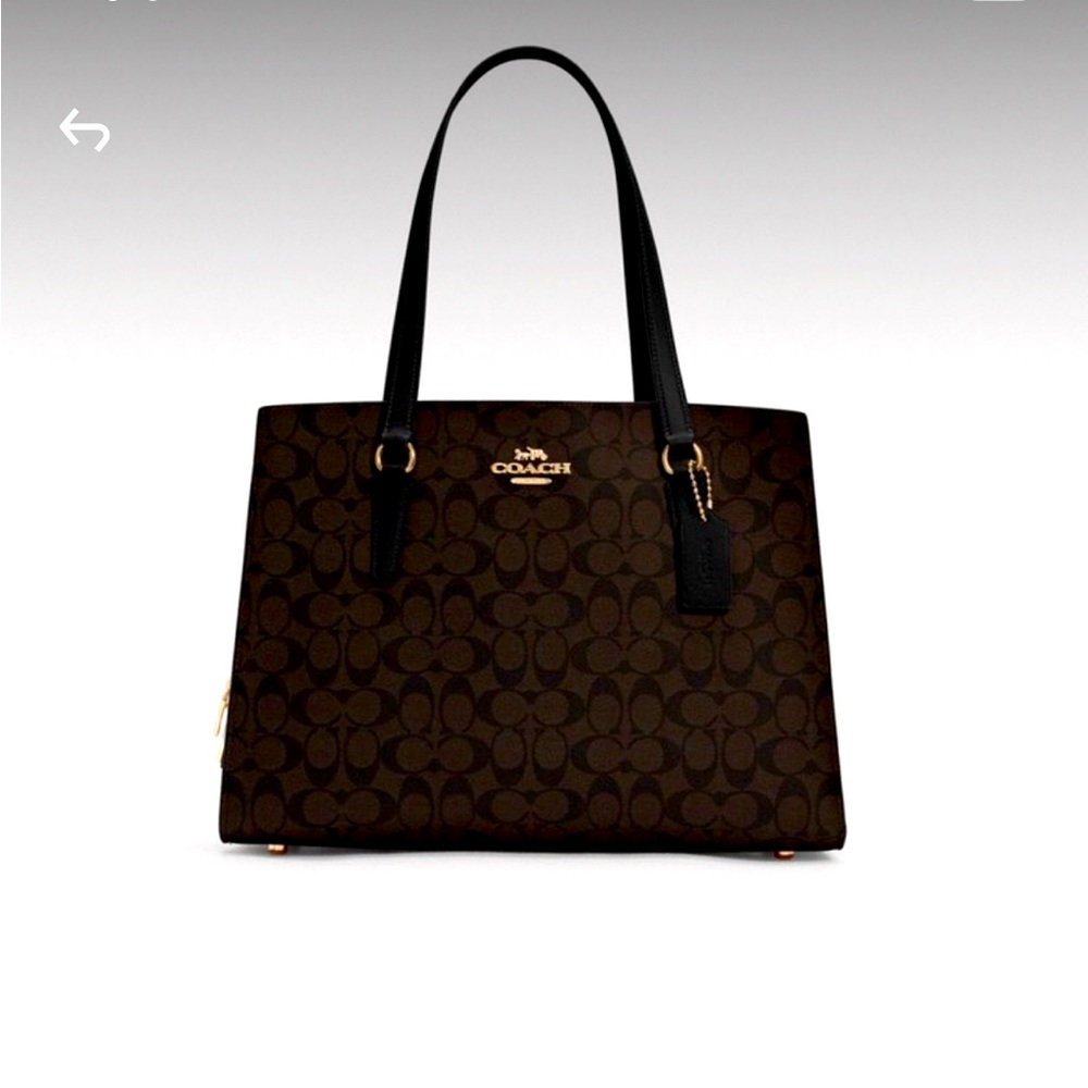 Coach Tatum Carryall 40 In Signature Canvas